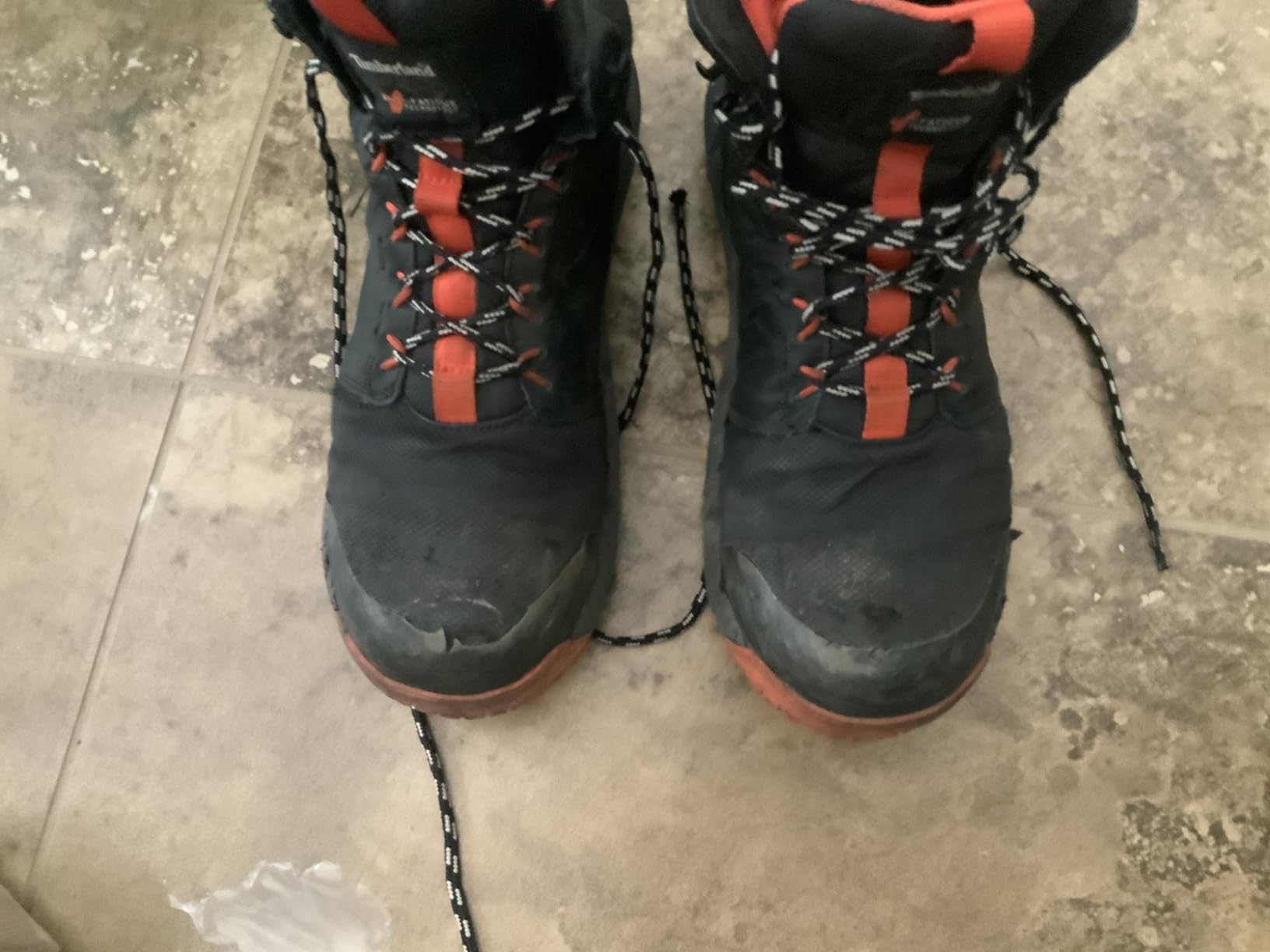 Timberland PRO Men's Morphix 6