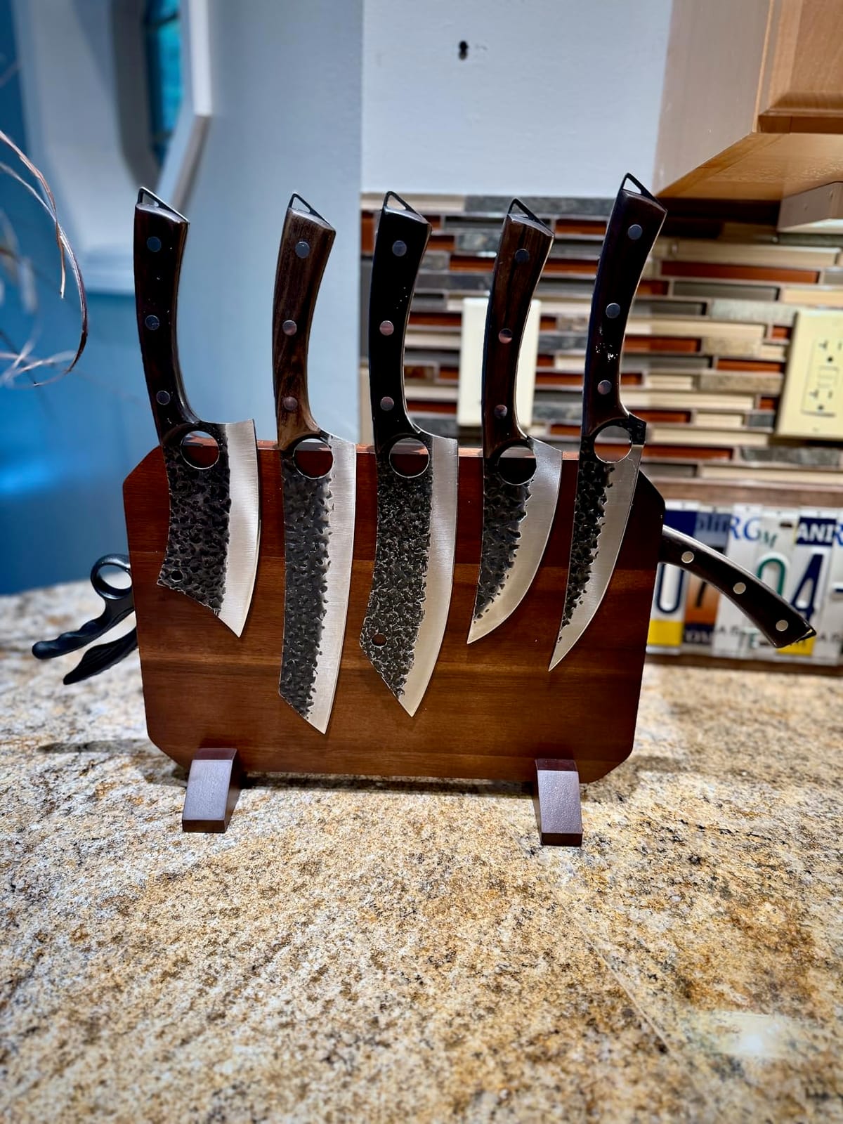 DRGSKL Serbian Chef Knife Set - 6 PCS Hand Forged Knife Set with Bag customer photo 1