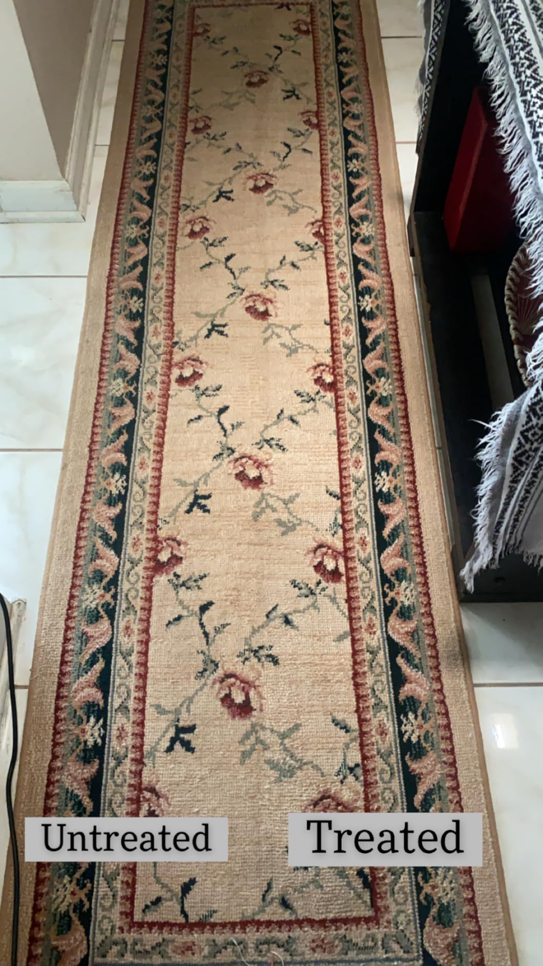 Shark CarpetXpert HairPro Carpet & Built-in Stain Cleaner, 2 Tools EX251BRN customer photo 1