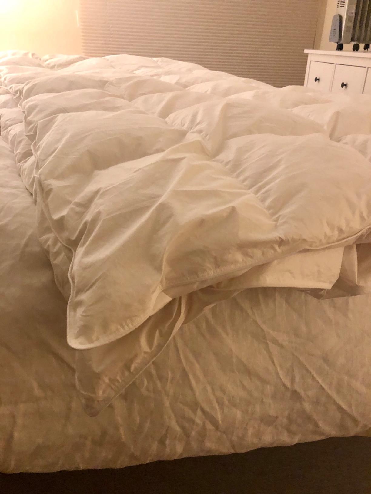 C&W Goose Down Comforter Queen Size (90