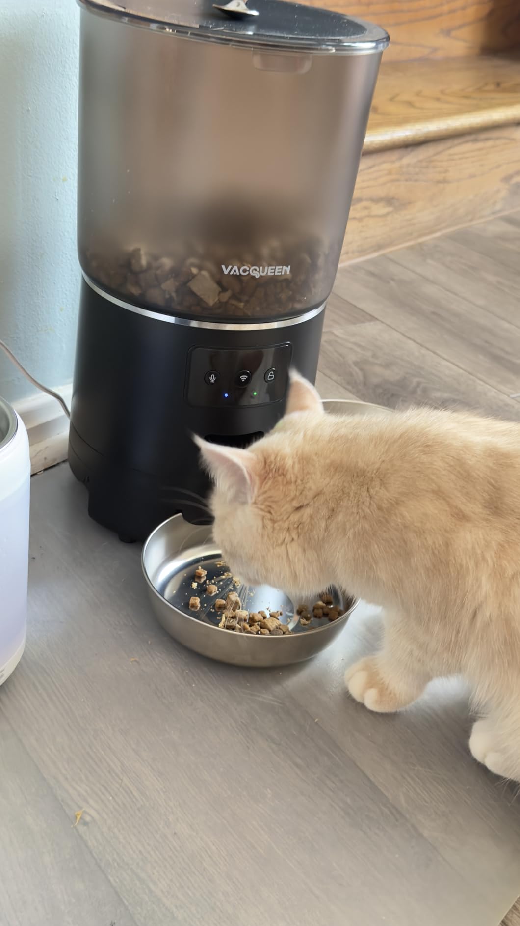 Automatic Cat Feeder for 3 Cats with WiFi Control, Anti-Jam System, 6L customer photo 1