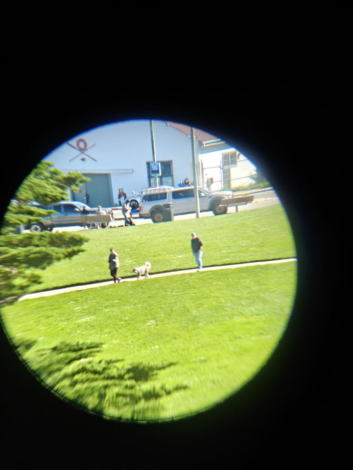Leacco 10x25 Binoculars, Waterproof BAK4 FMC Lens for Bird Watching Cruise customer photo 1