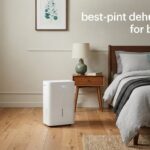 best 30-pint dehumidifiers for bedrooms