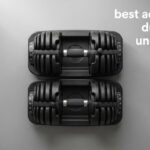 best adjustable dumbbells under $500